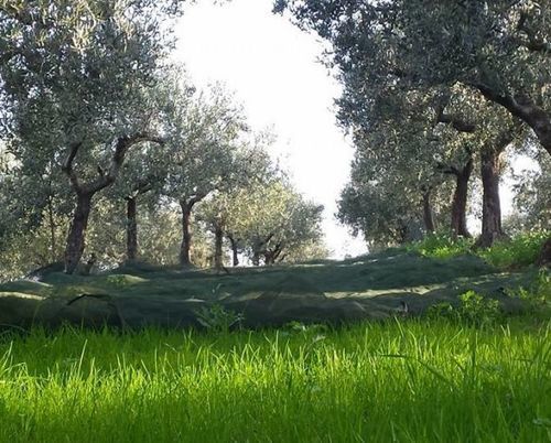 Angelucci Agriturismo Con Camere E Agri Camping Lanciano Exterior foto
